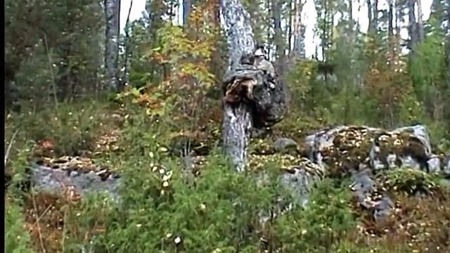 БАЙДАРКА ВУОКСА 08 09 2002 смотреть онлайн