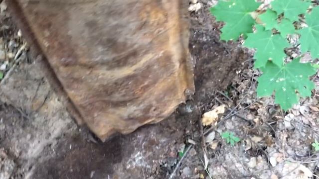 Та самая МУТНАЯ ЛЕСОПОЛОСА) Коп металлолома смотреть онлайн