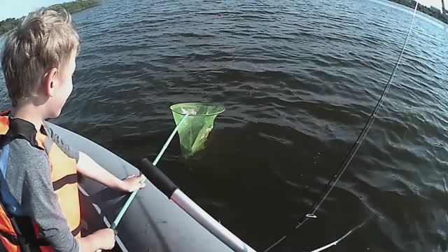 Мой сачок тебе поможет!