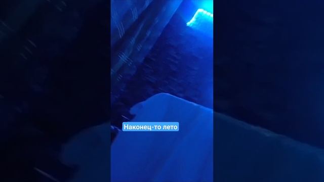 1 ИЮНЯ #дача #2021 #2023 #backroomsfoundfootage #мистика #квадробика смотреть онлайн