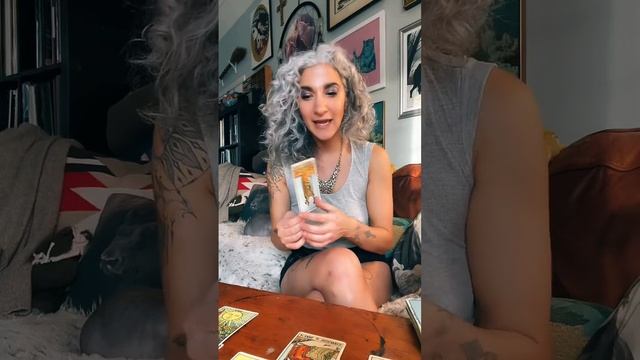 Daily Collective Tarot Reading: Wednesday, November 16, 2022 смотреть онлайн