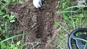 Какой металлоискатель выбрать новичку? Лучшие металлоискатели для поиска монет, металлов в 2021 год