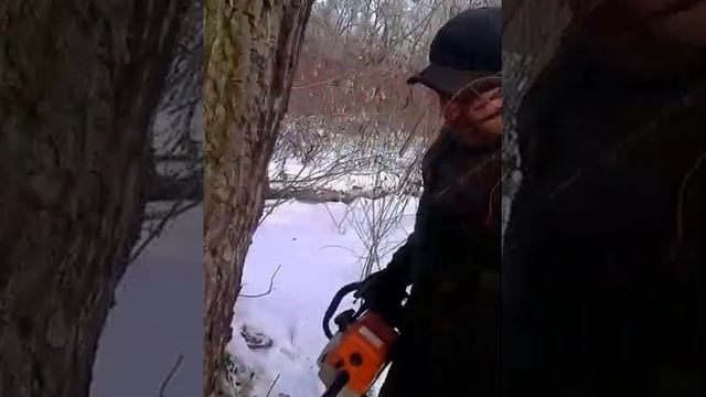 Валка леса часть 1 смотреть онлайн