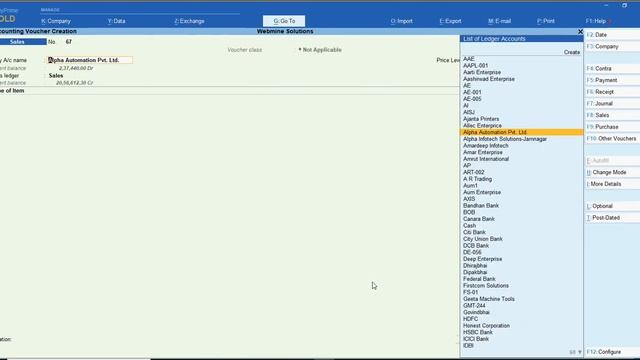 Tally Add On : Display Masters From Voucher Entry in View mode in Tally Prime Software смотреть онлайн