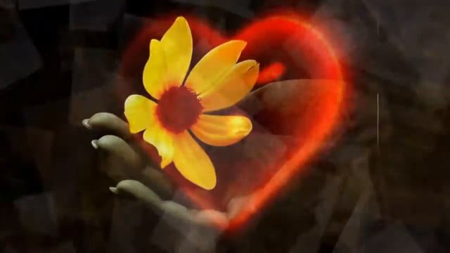 Поздравление от моей команды за открытие звания Элитного Директора!!!