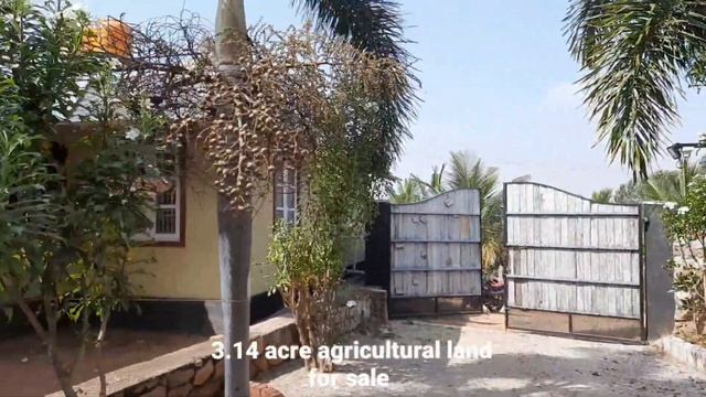 SOLD #Farm house for sale#3.14acre# from Gundlupet 4km.whatsap 7026019846 #agriculture #gundlupet смотреть онлайн
