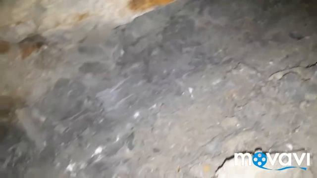 НОЕВ КОВЧЕГ/Раскопки продолжаются/5/ смотреть онлайн