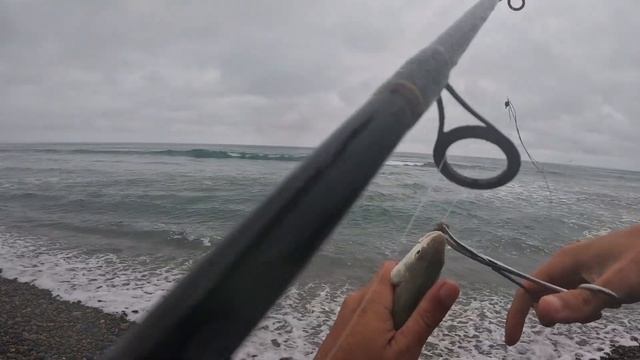 Good day SURF FISHING!!! Perch, Croaker смотреть онлайн