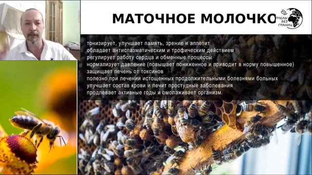 Лекция 4 «Продукты пчеловодства» смотреть онлайн