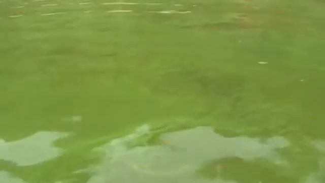 Водохранилище Горьковское. смотреть онлайн