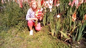 Ботанический сад Минск