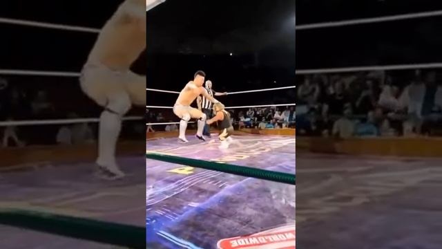 РасЧебурашим