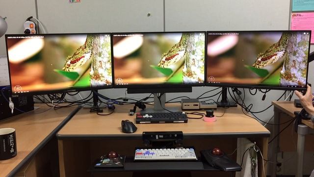 Triple QHD Monitor: Dell UP2516D and Two U2515H смотреть онлайн