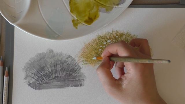 Рисуем траву, акварелью и цветными карандашами. смотреть онлайн