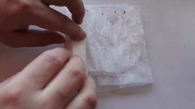 Как высадить Астру на рассаду в самокрутке без земли! Георгина, в торфяных таблетках. За 2 минуты. смотреть онлайн