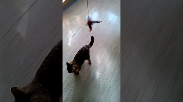 Игрунья смотреть онлайн