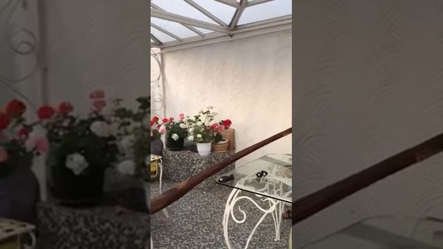Диджериду. Didgeridoo. смотреть онлайн