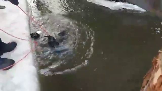 Подводные работы смотреть онлайн