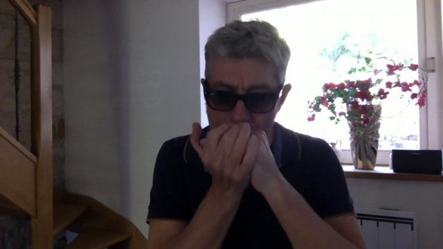 Sweet Home Chicago Harmonica Cover смотреть онлайн