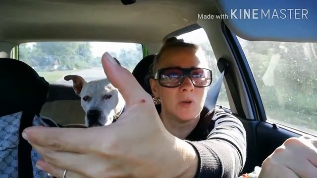 Как проходят выходные дачницы. смотреть онлайн