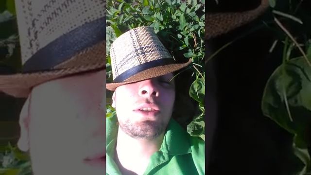 Прогулка в поле на природе смотреть онлайн