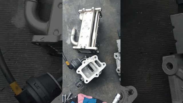 Egr Error P0403 Po404