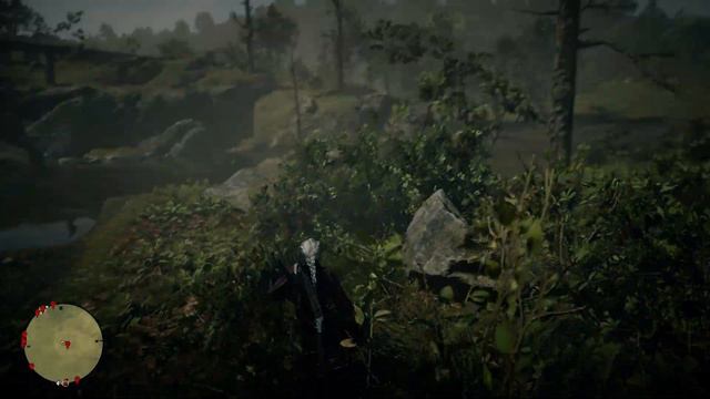 Карта сокровищ Южный Роанок (все места) в Red Dead Redemption 2 Online PC смотреть онлайн
