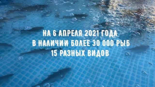 Открытие сезона зарыбления 2021 смотреть онлайн