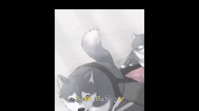 ?Пёс - берегись! ? Подборка смешных котов и собак для хорошего настроения! ? смотреть онлайн