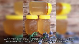 Как ежегодно получать майский мед со своей пасеки