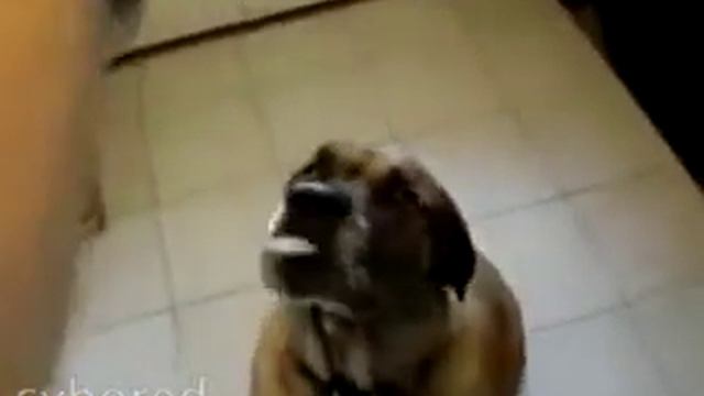 1 second смотреть онлайн