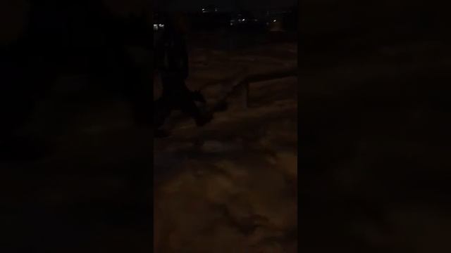 Доберман Дэльта " тренировка зимой" смотреть онлайн