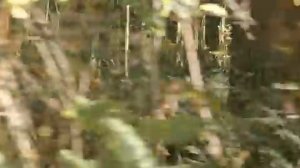 ПРОПАВШАЯ 2020