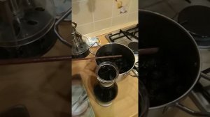 Морилка из шишек. Часть 1.
