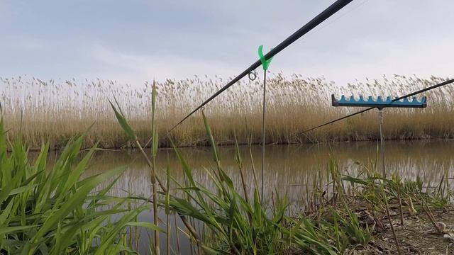 Рыбалка в Краснодарском крае: ЮМС, Шапарской, 28 канал. Улов: красноперки, таранки, окуни. смотреть онлайн