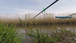 Рыбалка в Краснодарском крае: ЮМС, Шапарской, 28 канал. Улов: красноперки, таранки, окуни.