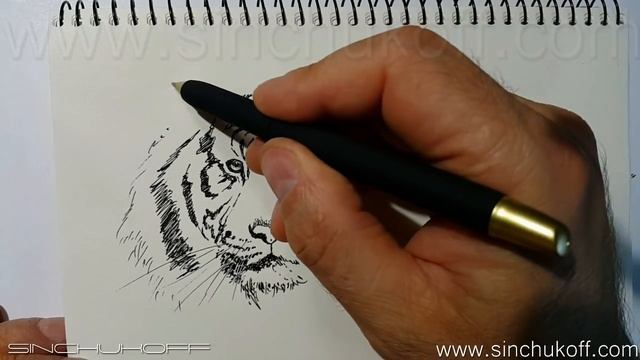 Рисуем ТИГРА смотреть онлайн