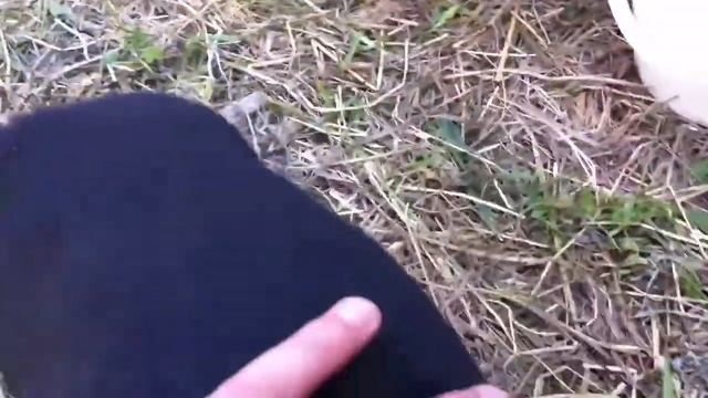 Красивые щенки ищут себе хозяев. смотреть онлайн