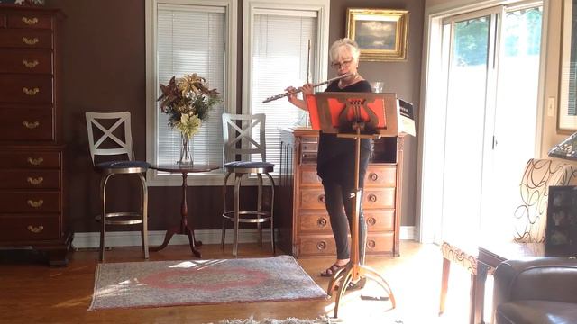 Platinum Brannen Flute No. 1002 | Joan Sparks | Flute Pro Shop смотреть онлайн