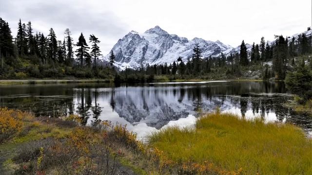 Истории из жизни. Признание. Жизненные истории. Интересные истории. Душевные истории. Аудиорассказ смотреть онлайн