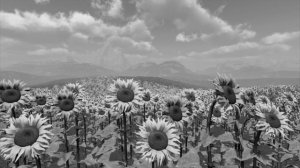 Ольга КОРМУХИНА - ШАРМАНЩИК (Official Video), 2013