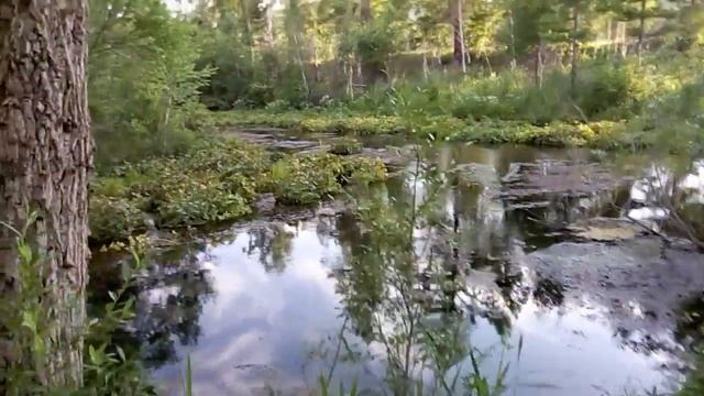 Поездка до Шаманки, продолжение смотреть онлайн