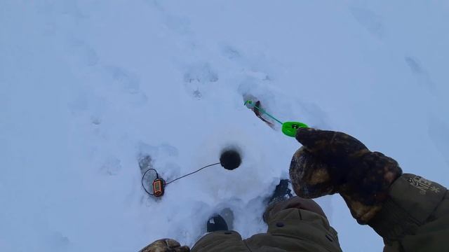 Такого ОКУНЯ кабана я и не ждал!!Ловля полосатых окуней на балансир! смотреть онлайн