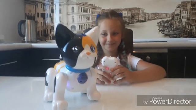 Интерактивная игрушка. Шустрик РобоКот. Видеообзор. Робот. Видео для детей смотреть онлайн