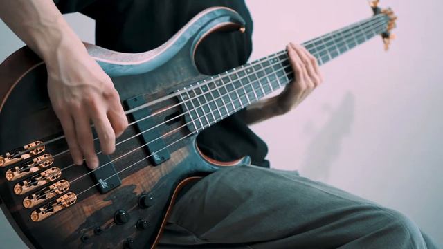 LANDMVRKS - Tired Of It All (Bass Cover) смотреть онлайн