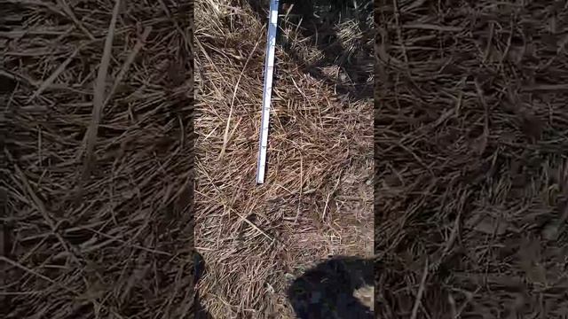 VLF металлоискатель 12кГц смотреть онлайн
