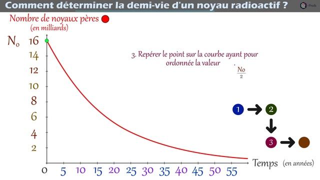 Méthode graphique : Déterminer la demi-vie d'un noyau radioactif physique chimie смотреть онлайн