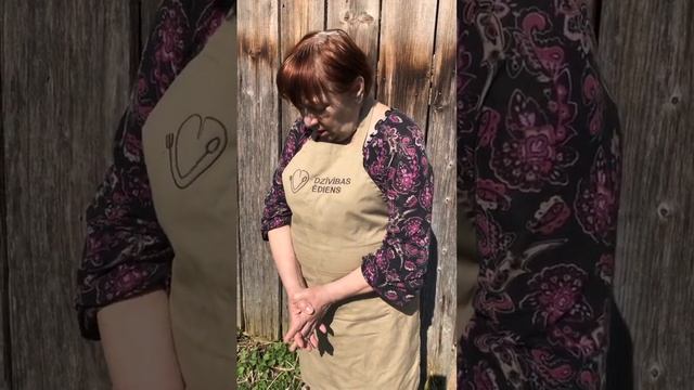 Весенний марафон. Крапива для питания, не случайно растет весной. смотреть онлайн