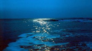 И. Стравинский. «Цирковая полька», написанная для молодого слона