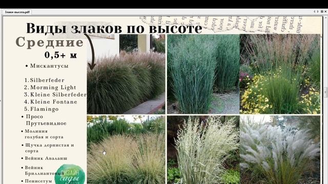 Все о злаковых травах. 3. Высота + идеальные соседи смотреть онлайн